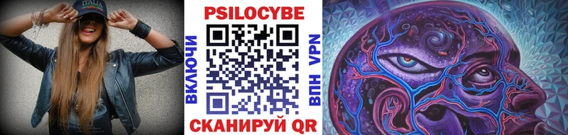 Псилоцибиновые грибы Psilocybe Нефтекамск