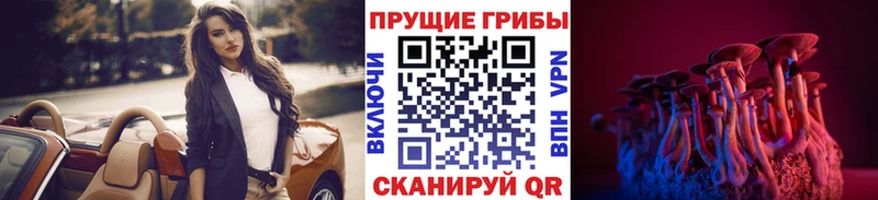 Псилоцибиновые грибы мухоморы  Купить закладки  Нефтекамск 